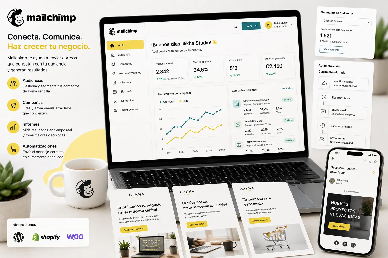 Automatización de email marketing integrada con CRM y ecommerce